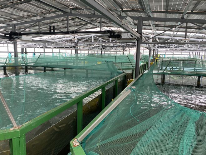 浙江首批“未來農(nóng)場(chǎng)”公布 十大休閑觀光新地標(biāo)，體驗(yàn)未來農(nóng)業(yè)新魅力