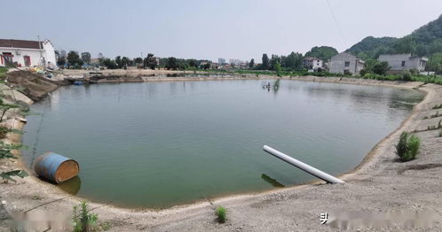 應(yīng)用新模式新技術(shù)，推動(dòng)水產(chǎn)養(yǎng)殖綠色轉(zhuǎn)型與可持續(xù)發(fā)展